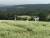 지난 11일 전국에서 가장 넓은 제주시 오라동 메밀밭을 찾은 예비부부가 메밀밭을 배경으로 웨딩 사진을 찍고 있다. 최충일기자