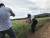  지난 11일 전국에서 가장 넓은 제주시 오라동 메밀밭을 찾은 관광객들이 메밀밭을 배경으로 사진을 찍고 있다. 최충일기자