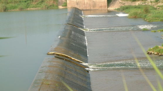 물고기 이동 막는 댐·보 환경부가 철거·개선 요구한다