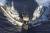 센카쿠 제도 근처 해역에서 일본 순시선에 중국 어선과 충돌하고 있다. [사진 교도통신]