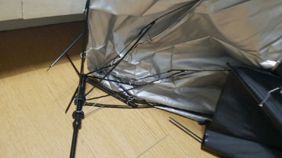 “나를 물다니”… 여친 반려견 우산으로 때려죽인 30대 남성