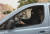 2014년 사우디아라비아 수도 리야드에서 &#39;운전 시위&#39; 중인 여성. 많은 사우디 여성들이 여성운전 금지 철폐를 위해 체포를 무릅쓰고 운전을 감행했다. [AP=연합뉴스] 