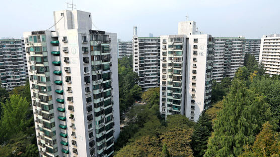 강남권 재건축 아파트 연일 상승세…규제 전 가격 회복