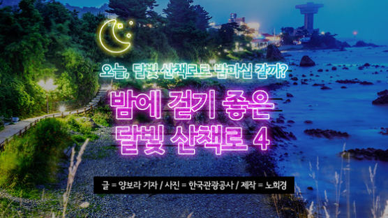 [카드뉴스]내일 놀잖아, 밤에 걷기 좋은 달빛 산책로 4