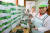 전남 영광군 영광읍 신하리 솔담모싯잎송편 공장에서 필리핀 출신 이주여성인 김수진씨(왼쪽)가 동료인 지나린씨와 송편을 포장하고 있다. 프리랜서 장정필
