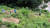 대전시립공원묘지에 성묘를 온 시민들이 벌초하기 위해 예초 기기와 낫 등을 들고 이동하고 있다. 이처럼 수풀이 많은 곳에선 진드기에 물리지 않도록 주의해야 한다. [중앙포토]