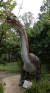 키 16m, 몸무게 50t에 이르는 초대형 초식공룡이다. 긴 목이 특징이다.