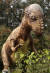 일명 박치기공룡이라고도 불리는 파키케팔로사우루스. 북아메리카에서 발견된 초식공룡이다. 불룩 튀어나온 머리뼈와 머리주위 돌기가 특징이다. 이천=최승식 기자