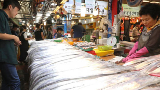 '촘촘한 그물'로 제주 갈치 싹쓸이 하던 중국 어선, 3억 내고 풀려나