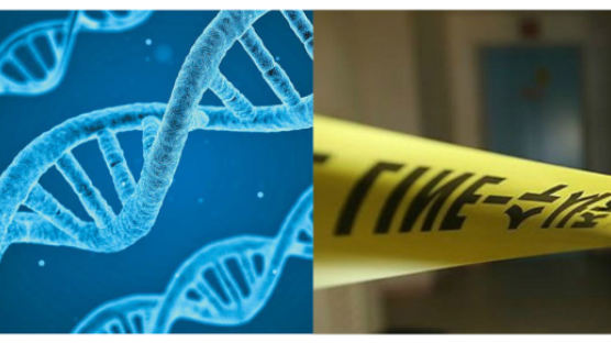국과수 "완전 범죄는 없다…장기미제사건 'DNA 재분석' 완료"