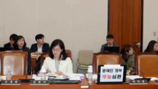 자유한국당 김현아 의원의 소신 국감…‘문재인 정부 무능 심판’ 문구 없이 진행