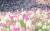 쾌청한 가을 날씨를 보이는 17일 오후 서울 송파구 올림픽공원 들꽃마루에서 연인이 풍접초를 배경으로 셀카를 찍고 있다.[연합뉴스]