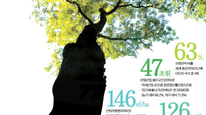 나무의사·숲선생님 … 산림 일자리 6만 개 만든다