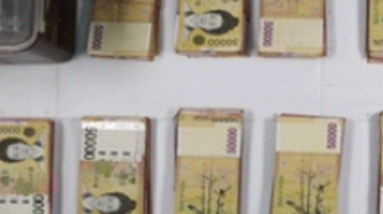 땅속 김치통에 넣어 둔 5만원권 지폐 뭉치에 보성군수 뇌물혐의 구체화 