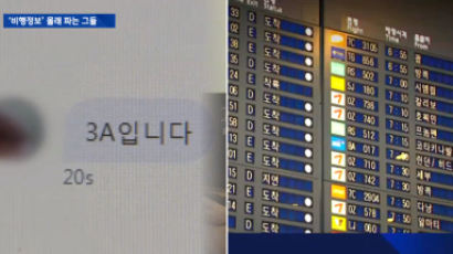 아이돌, 장관 항공 좌석까지… '비행정보' 금전 거래 돼