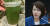 전현희 민주당 의원이 19일 한국수자원공사에서 열린 한국수자원공사에 대한 국정감사에서 질의하고 있다. [연합뉴스]