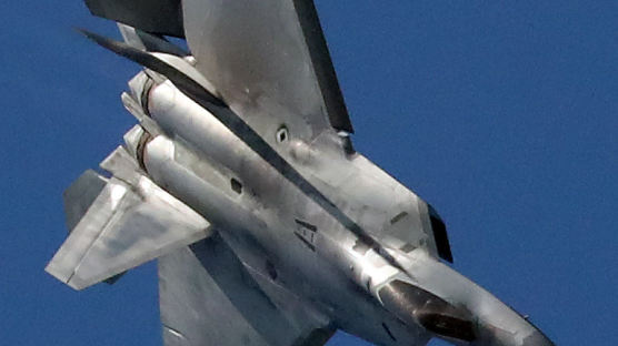[서소문사진관]주말 성남 하늘, F-22 랩터·블랙이글스 뜬다!
