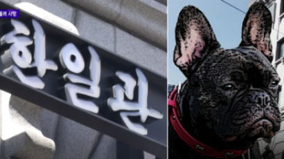서울 유명 한식당 대표…목줄 안한 개에 물려 숨져