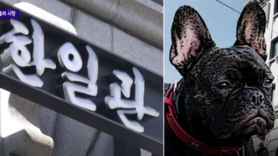 서울 유명 한식당 대표…목줄 안한 개에 물려 숨져