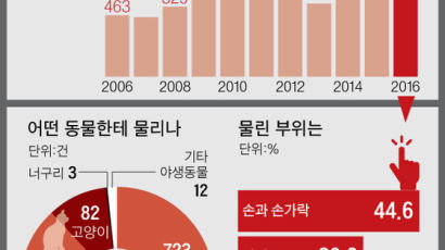 "우리 개 안 물어요" 개에 물려 사망때 견주 처벌 알고보니