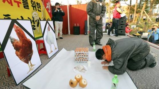 양계협회 계란 던지며 시위 “산란일자 표기 의무화 철회해야” 