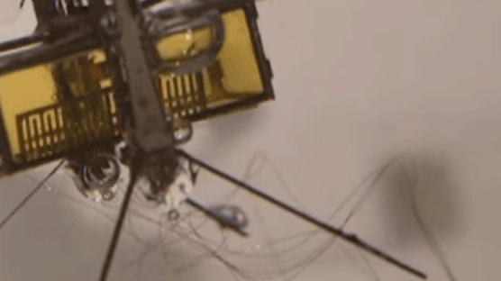 초소형 곤충 로봇 ‘로보비’ 업그레이드…수영에 점프도 
