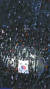 박근혜 전 대통령 탄핵을 반대하기 위해 모인 태극기집회의 모습. [중앙포토]