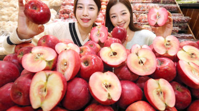 [사진] 항산화 성분 15배 ‘속 빨간 사과’