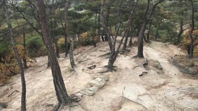 도로·탐방로에 조각 난 국립공원…평균 1.5㎢에 불과