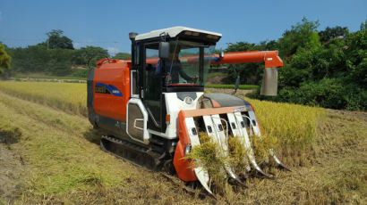 올해 쌀·밭 직접직불금 지급 개시…1인당 94만원씩 지급