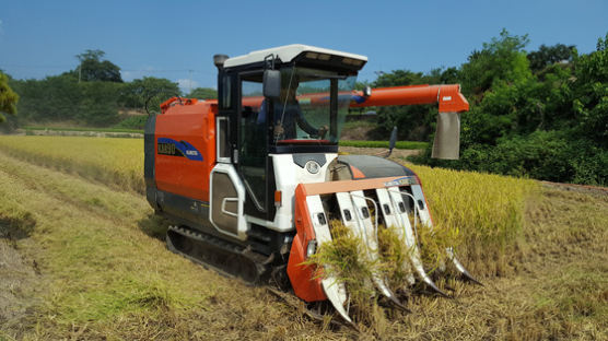 올해 쌀·밭 직접직불금 지급 개시…1인당 94만원씩 지급
