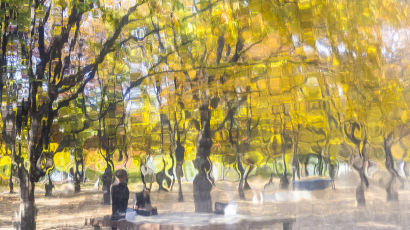[권혁재 핸드폰사진관] 서울숲 공원에서 만난 또 다른 가을