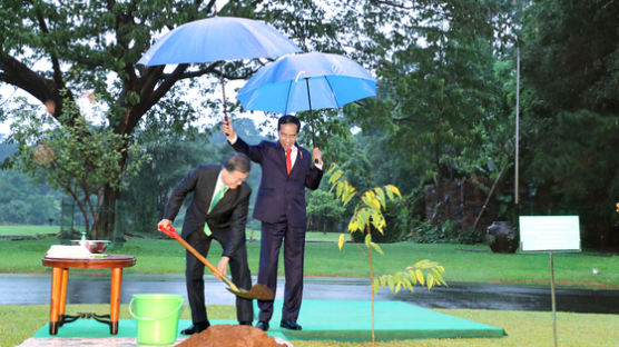 [사진] 나무 심는 대통령, 우산 받쳐준 대통령
