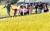 지난달 17일 충북 옥천군 동이면 적하리에서 마을 탐방에 나선 동이초 학생들이 교육을 마친 뒤 마을 선생님과 함께 들판을 뛰어가고 있다. [프리랜서 김성태]