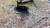 지난 11일 40대 여성의 토막난 시신이 발견된 충북 보은군 내북면의 한 토굴. 이 사건의 유력 용의자인 60대 남자친구는 경찰 조사가 시작되자 음독자살을 시도, 지난 10일 병원에서 숨졌다. [연합뉴스]