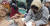 15일 경북 포항에서 규모 5.4 지진이 발생한 뒤 주민들이 대피한 북구 흥해실내체육관에서 한 고3 학생이 수능시험 공부를 하고있다. [연합뉴스]