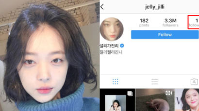 Who Is Behind the Mystery Account That Is Sulli's ONLY Follow on Instagram?