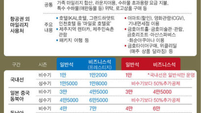 2008년 이후 항공 마일리지, 내년 안에 안쓰면 자동 소멸