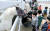 양주시 농어촌테마공원 내에 개장한 양주시 승마장에서 어린이들이 말 먹이주기 체험을 하고 있다.