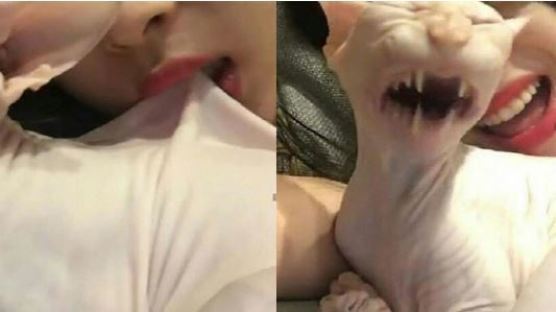 "Borderline animal cruelty"…The Two Times Sulli Pulled the Worst Instagram Stunt