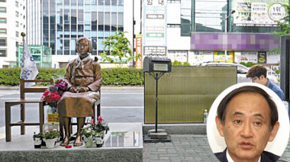 위안부 피해 할머니 공식 기념일 지정에 대한 일본의 반응