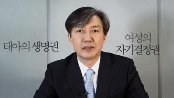 靑, 낙태죄 폐지 청원에 “‘태아 대 여성’ 넘어 새로운 균형점 찾자”