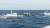 일본 측 EEZ 인근 바다, 일본 해상보안청 순시정(왼쪽)과 부산해양경비안전서 경비함정(오른쪽) [연합뉴스]