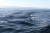 울렁이는 바다에서 낚시에 도전했다. 항구에서 얼마 나오지도 않았는데 시커먼 바다는 수심이 40m에 달한다.