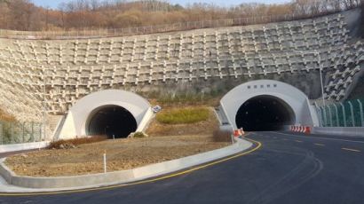 [사진] 팔공산 터널 개통