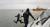 해경 대원들이 3일 오전 6시 12분께 인천 영흥도 인근 해상에서 전복된 낚싯배에 타고 있던 실종자들을 수색하고 있다. [연합뉴스]