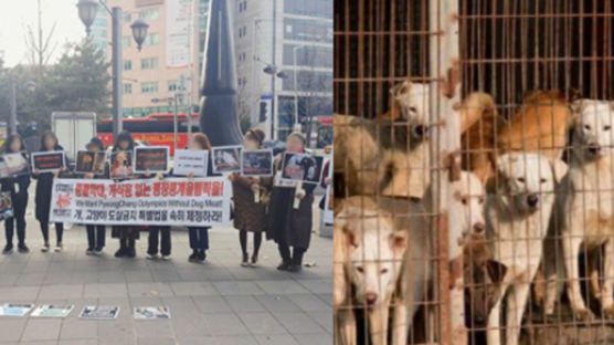 동물보호 단체들 “평창 겨울올림픽 성공 위해 개고기 금지해야”