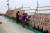 추도 주민들이 건조대에 물메기를 말리고 있는 모습. [사진 통영시]