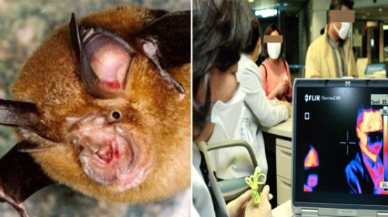 “사스 주범은 중국 박쥐…中 과학자, 사스 재확산 우려”