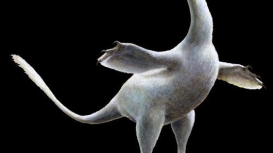 백조ㆍ오리의 조상? 백악기 신종 공룡 발견…7000만년전 활동 추정